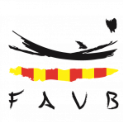 FEDERACION ARAGONESA DE VOLEIBOL